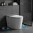 intelligent toilet