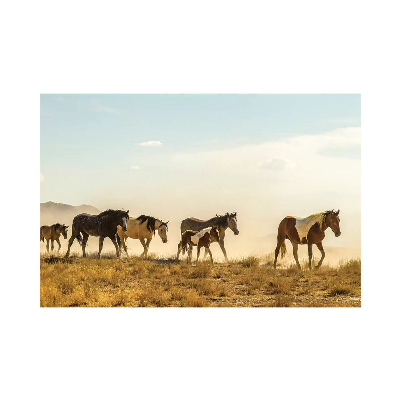 USA, Utah, Tooele County. Wild horses walking. 1 Piece Wrapped Canvas Wall Art