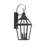 Jackson 3-Light Outdoor Wall Lantern in Matte Black with Gold Highlights
