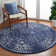 Aira Performance Oriental Rug