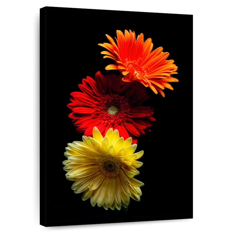 Harnek Three Luminuous Daises, 30" H x 20" W