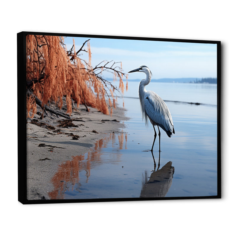 Heron Morning Stroll, reproduction d'art sur toile, Cadre flottant noir, H 16 po x l 32 po x P 1 po