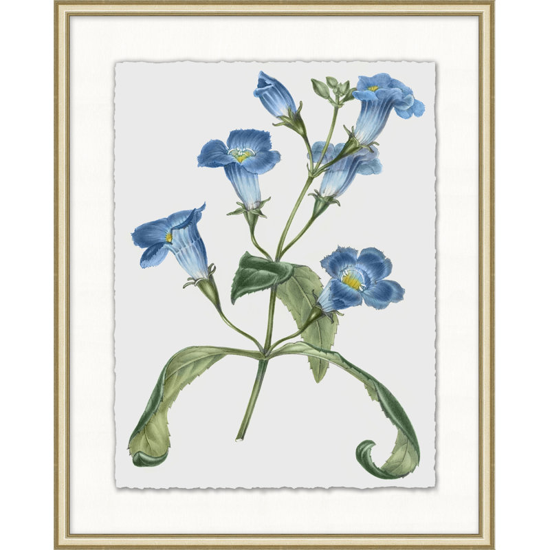 Floral Study 9 Print