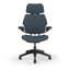 Freedom Headrest Ergonomic Task Chair - Autumn-1383268632