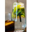 Glass