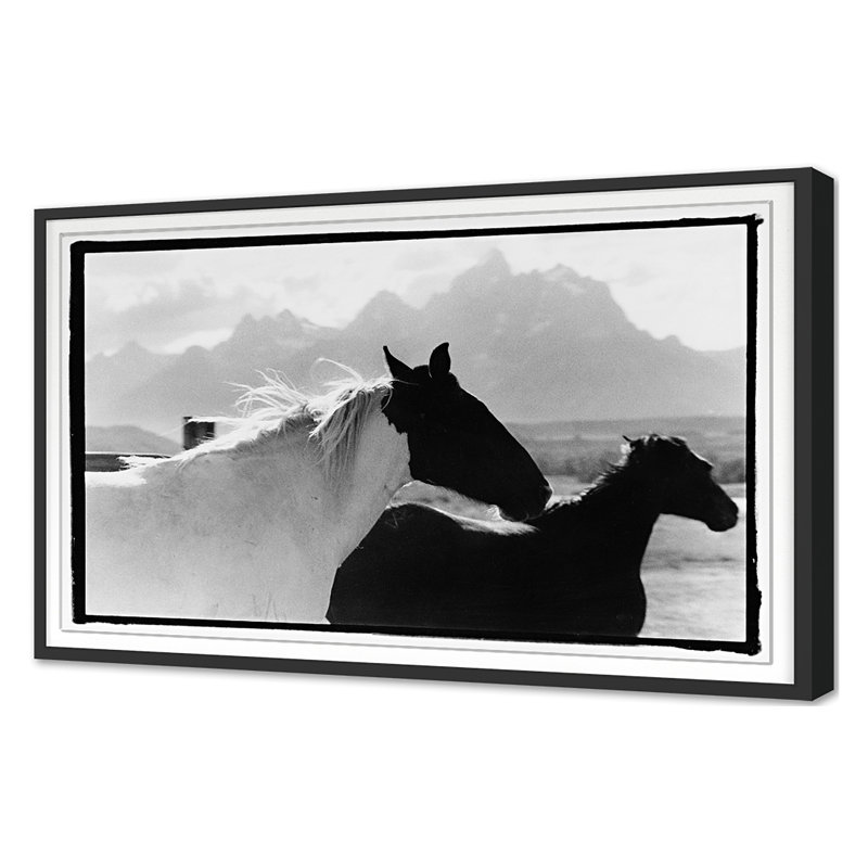 Letting Go Print by Raab, Amy, Black Single Picture Framed, 30'' H x 45'' W