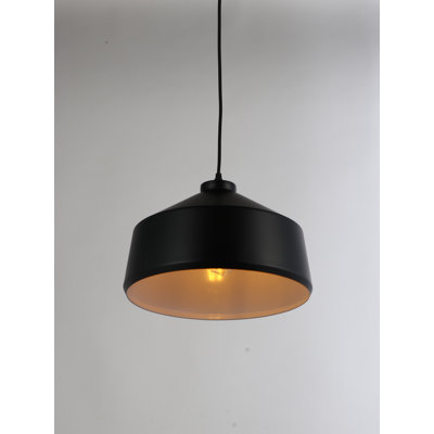Luminaire suspendu conique 1 lumière Brantner