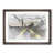 Walnut Framed selected