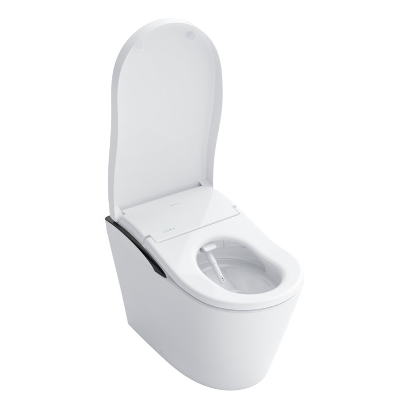 Neorest® Bidet Toilet, Cotton/Black