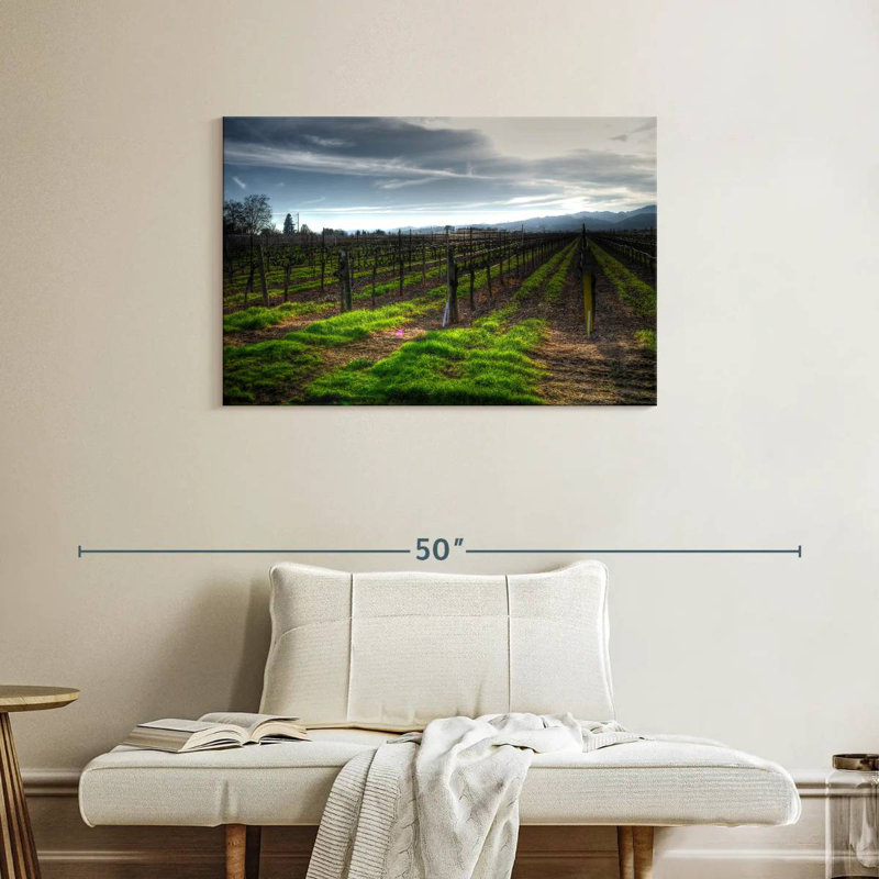 Alvord Napa Vineyard en janvier, H 24 po x l 36 po