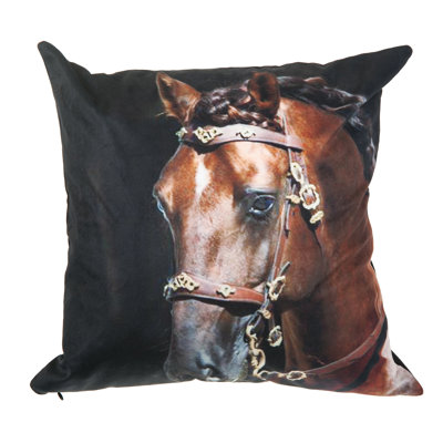 Coussin en velours Sipos