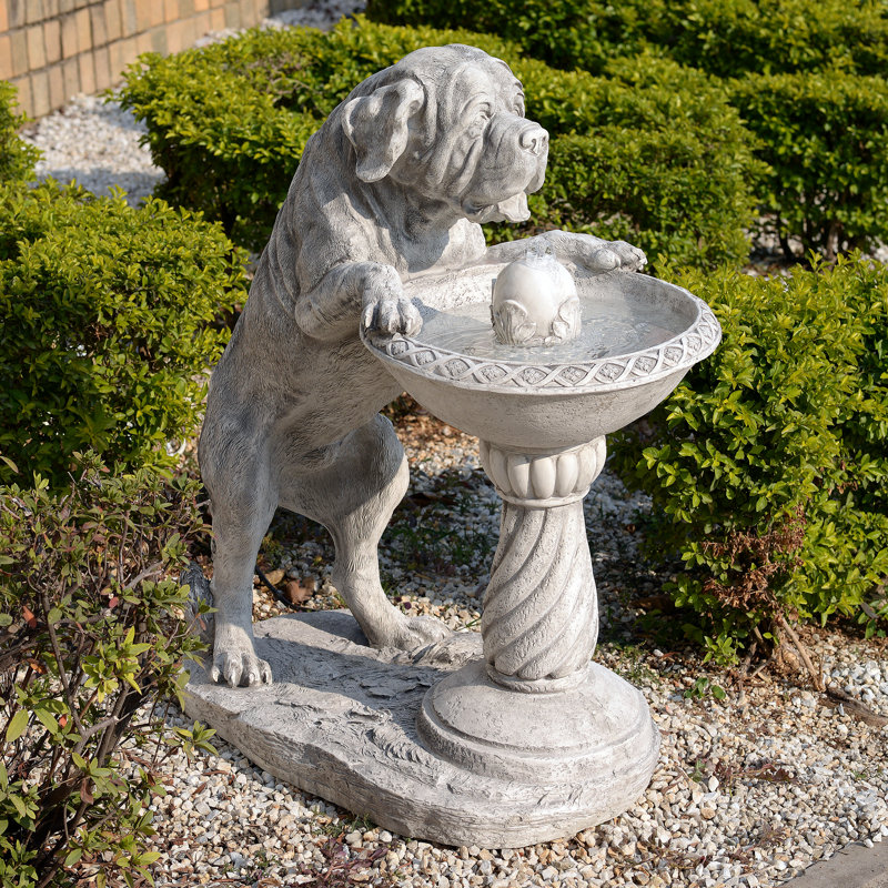 Fontaine de bain chien oiseau