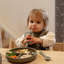 Piece Dinnerware Set-86916237