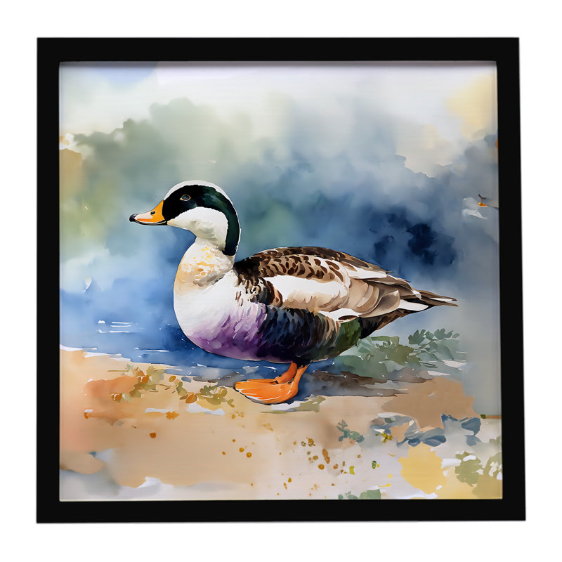 Common Eider Duck Framed Metal Print