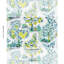 Tissu intérieur / extérieur Citrus Garden-31247022