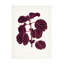 Art sur toile, "Les Plantes"-103094836