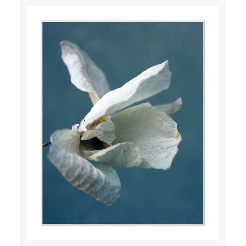 Flowers - Single Picture Frame Print