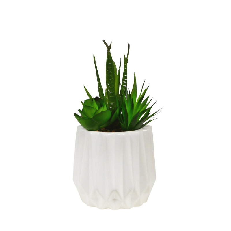 3.5" Artificial Succulent Plant in White Ribbed Vase
