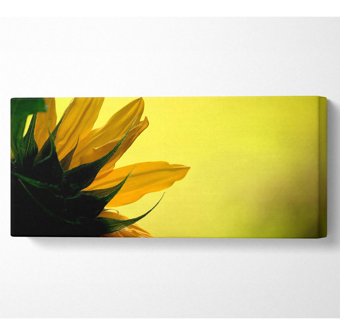 Sonnenblumen Makro - Kunstdrucke auf Leinwand