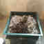 Customer photo 1 of 2