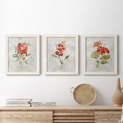 Lin géranium - ensemble de 3 impressions sur toile encadrées