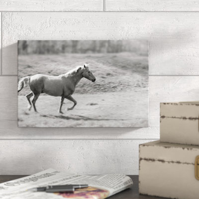 Pasture Run by Sue Schlabach - Wrapped Canvas Print