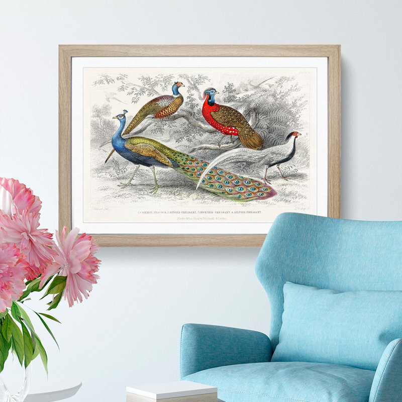 Peacock & Pheasants by Oliver Goldsmith - Picture Frame Painting Print, 36cm H x 48cm W x 2cm D, Oak Framed