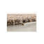 Tapis gris / gris foncé Zest-78549328