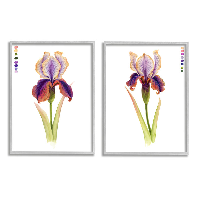 «Orange Orange Iris Flower with Color Key» par Grace Popp - ensemble de 2 impressions d'art graphique
