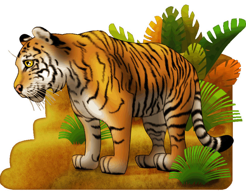 Adhésif décoratif tigre I, H 27 po x l 36 po