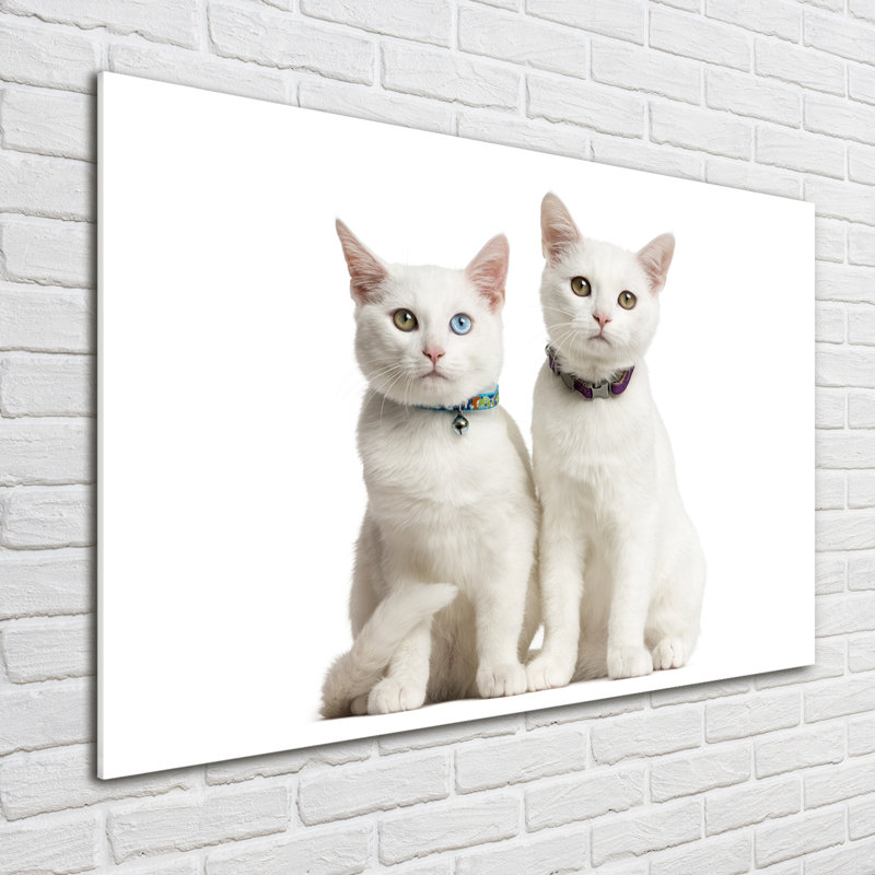 White Cats - No Frame Print on Glass