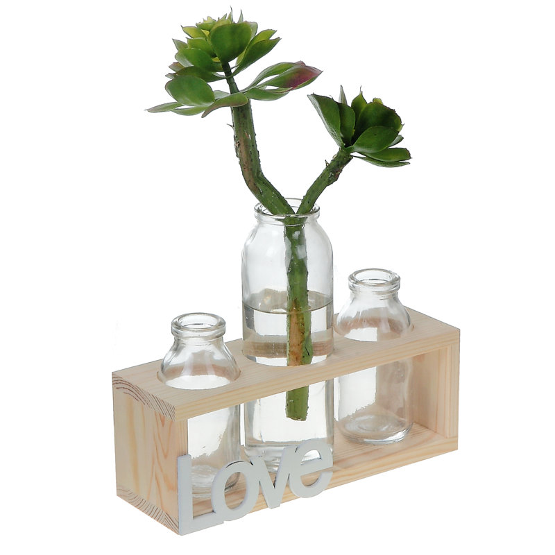 Ensemble de 3 pots en verre sur pied en bois Coyle