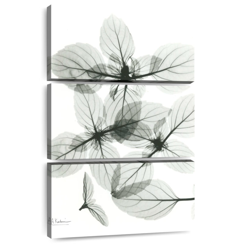 Harnek Basil I, 45" H x 28" W