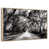 Floating Frame Natural Wood