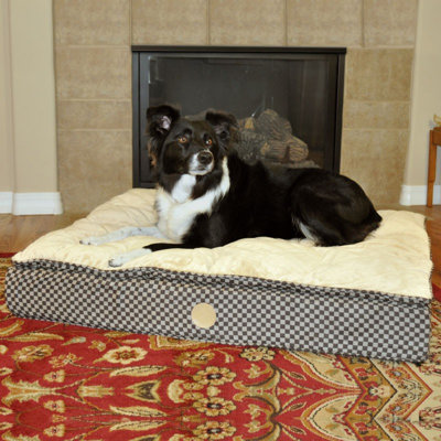 Feather Pillow Top chien Ortho