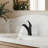 Single Hole Pull-Out Bathroom Faucet, 2-Function Sprayer Bathroom Sink Faucet with Drain Assembly-120089892