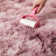 Adhley Machine Tufted Shag Area Rug