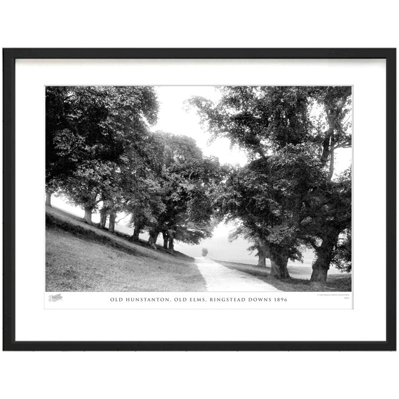 Old Hunstanton, Old Elms, Ringstead Downs 1896 by Francis Frith - Single Picture Frame Print, 28cm H x 36cm W x 2.3cm D