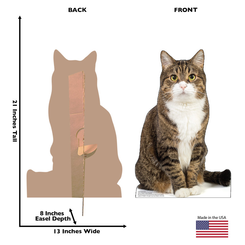 House Cat