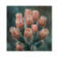 Cactus en fleurs à l'aube - Cactus floral, art mural sur bois de pin naturel-2030133928