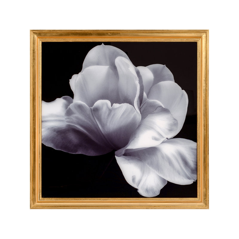 Mark Mcdowell's Shirokuro Print by Mark McDowell