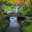 Pont de jardin en bois-98278470-98278473