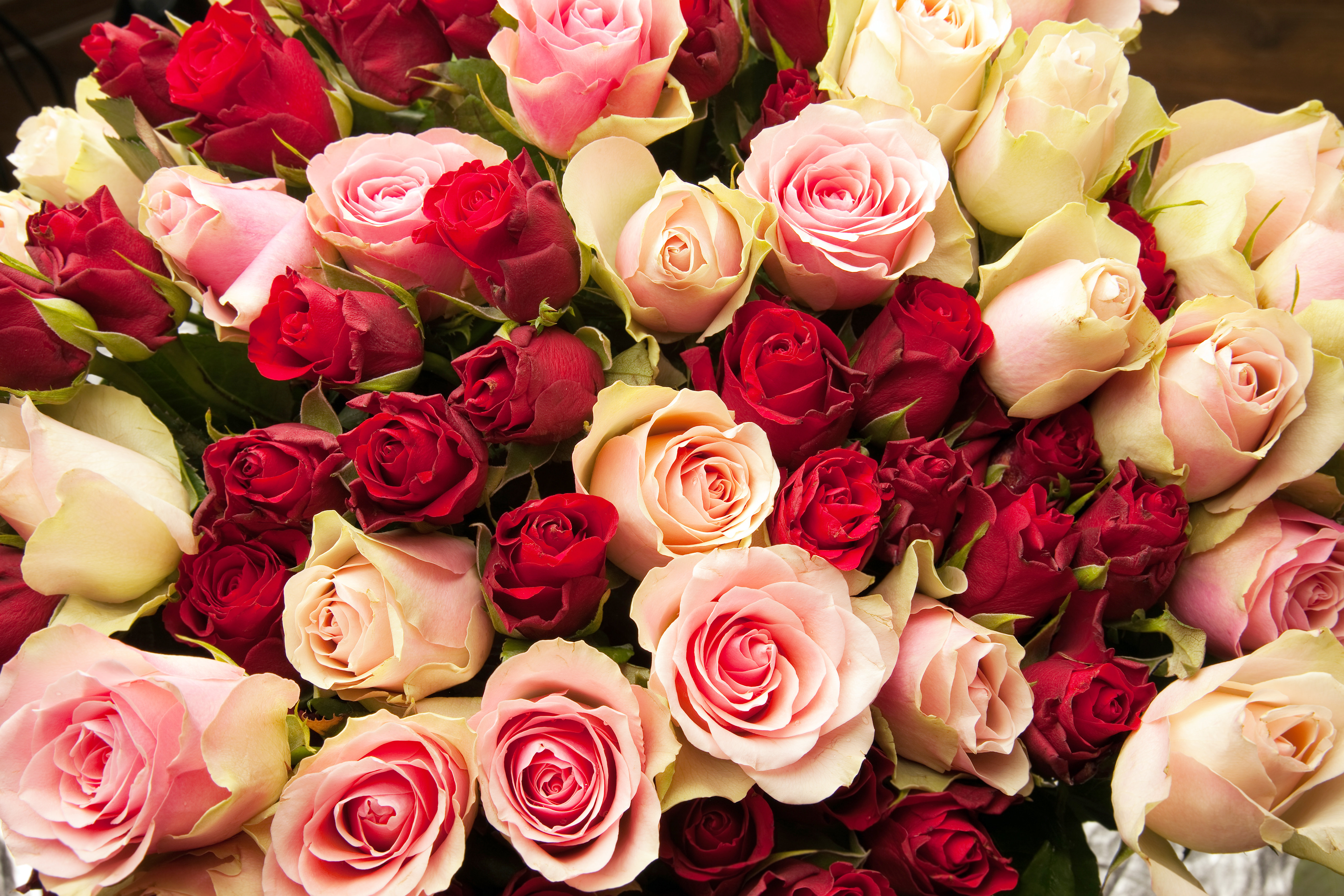 16+ Large Bouquet Of Roses Ebern Designs Large Bouquet of Roses by Mashabuba | Wayfair