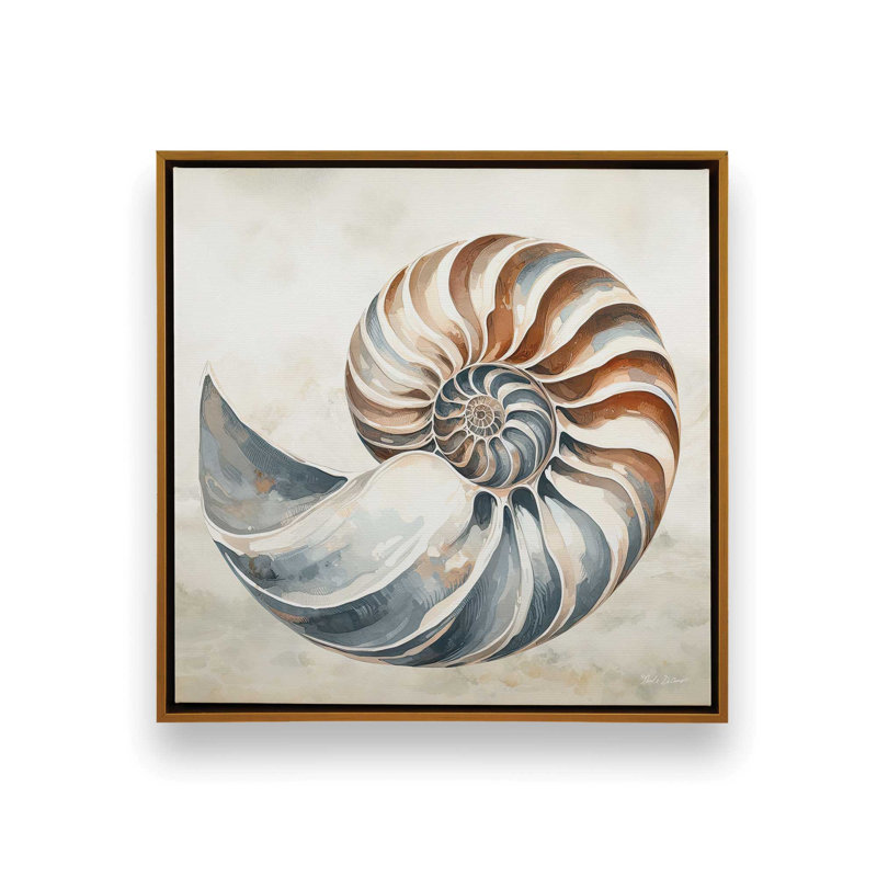 «Cape Cod Shell» par Nicole DeCamp, reproduction d'art, Toile avec cadre, L 36 x H 36, Or