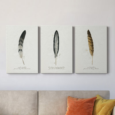 Found Feather I - ensemble de 3 peintures sur toile tendue