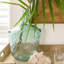 Glass Decorative Bottles-1756385980