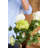 Hydrangea Arrangement-528747202