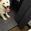 Grande niche pour chien avec balcon