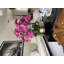 Pot à tiges d'orchidée Roberi-286301786-293210173