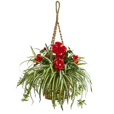 House of Silk Flowers Artificial Fern Hanging Plant in Beehive Basket